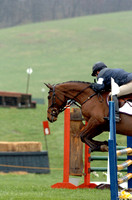 Training - Show Jumping