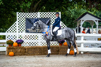 14 - Equitation