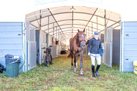 FEI Stabling